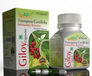 Giloy Capsule