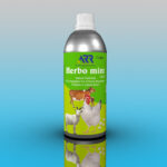 Herbo mint Liquid