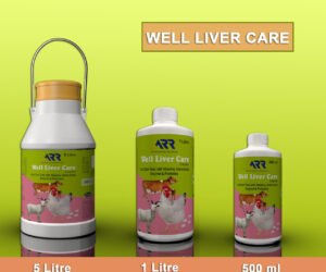 Well Liver Care Liquid