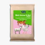 Wellgrow E – Sel Powder