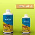Wellvit – A Liquid