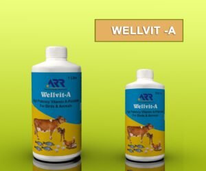 Wellvit – A Liquid