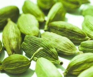 Cardamom